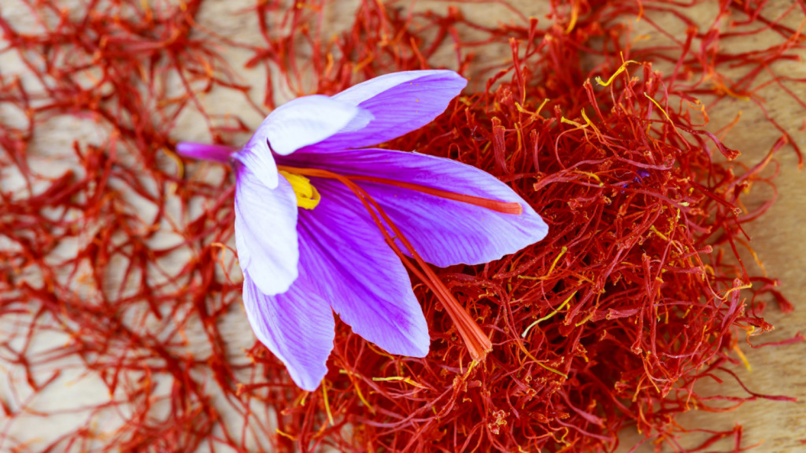 naali safran rouge